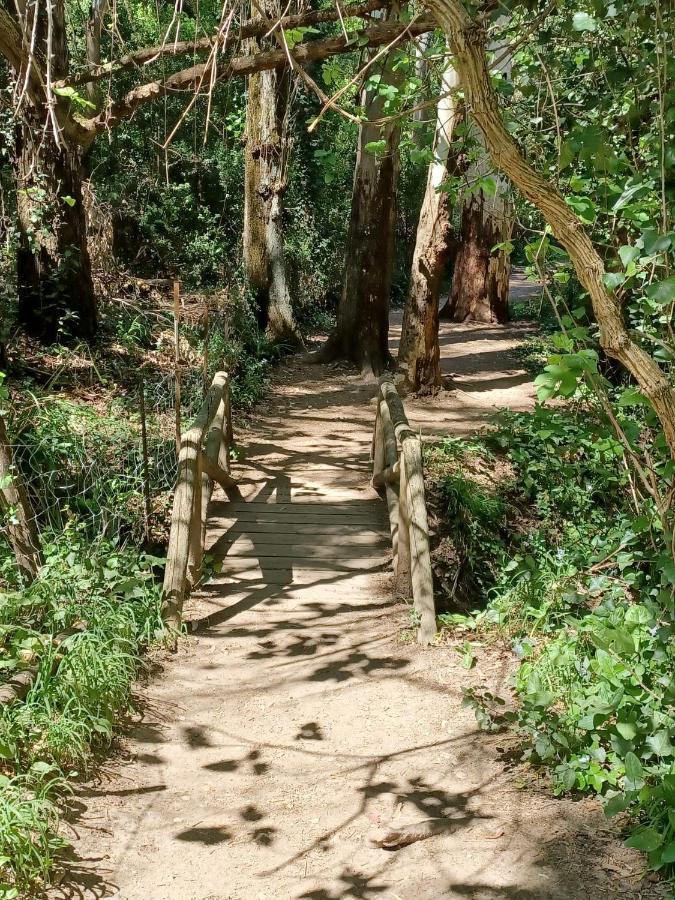 فيلا Casa Sendero Del Rio البوسكي المظهر الخارجي الصورة