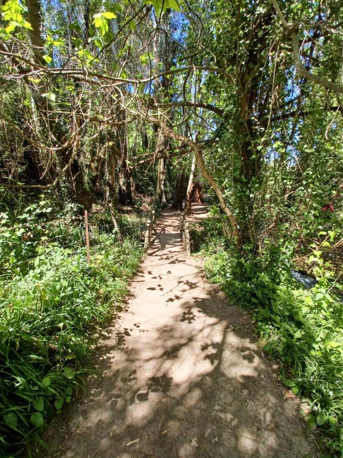 فيلا Casa Sendero Del Rio البوسكي المظهر الخارجي الصورة