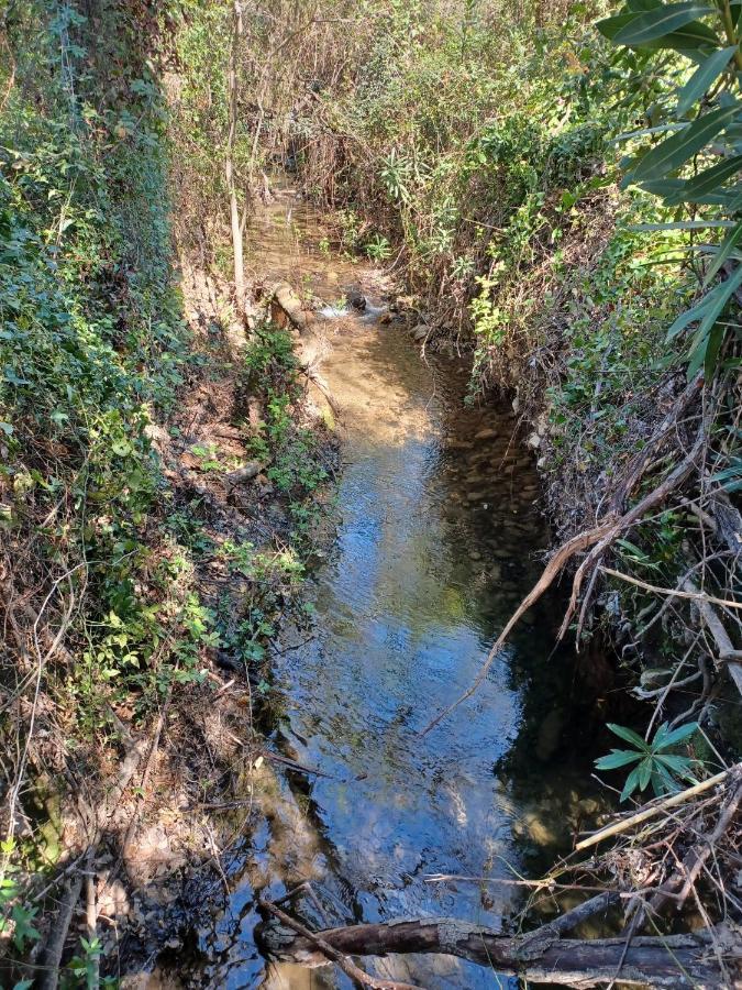 فيلا Casa Sendero Del Rio البوسكي المظهر الخارجي الصورة